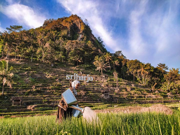 Desa Wisata Srikeminut